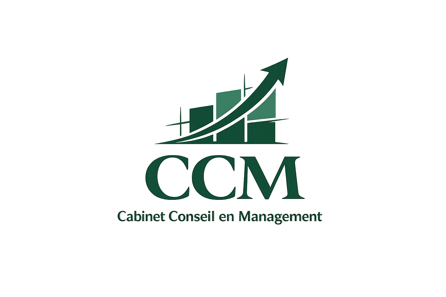 CCM — Cabinet Conseil en Management